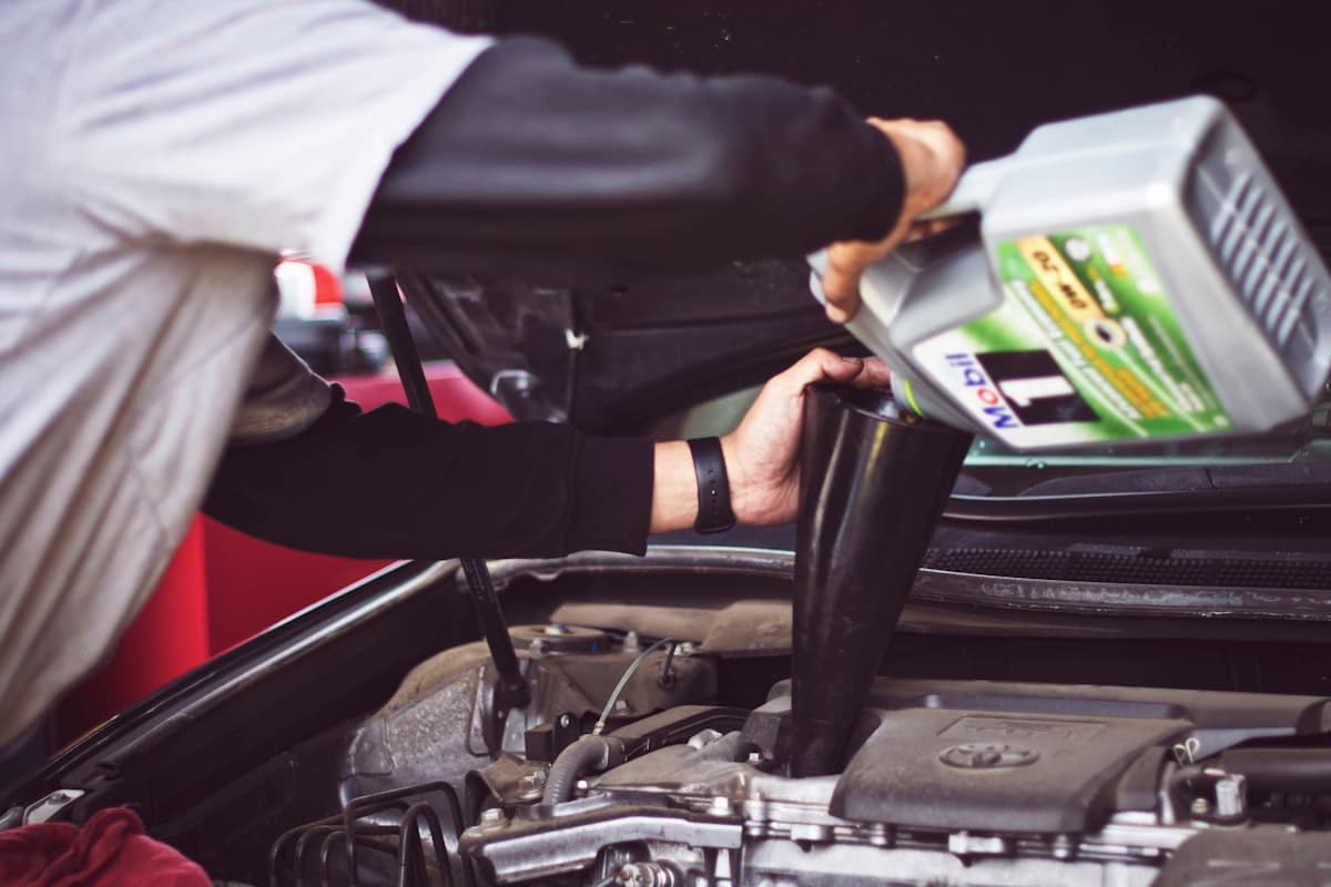 Professional auto detailing